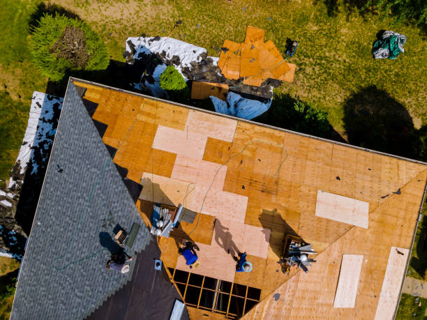 Best Roof Waterproofing Services  in Virginia, IL