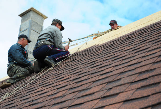 Best Residential Roofing Contractor  in Virginia, IL