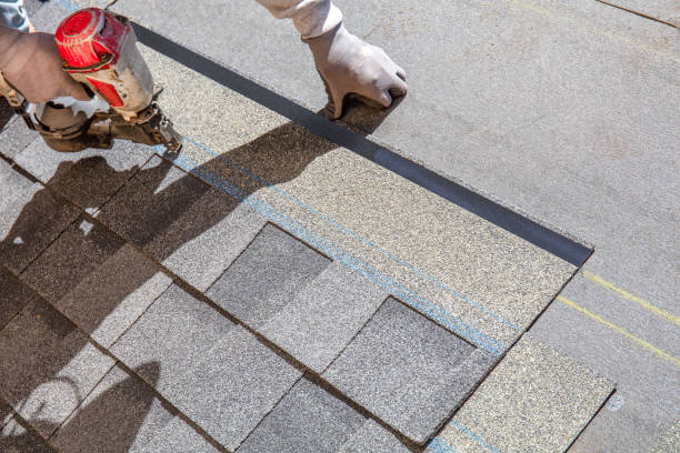 Best Roof Gutter Cleaning  in Virginia, IL
