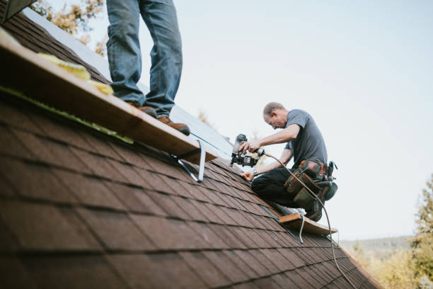 Best Roof Gutter Cleaning  in Virginia, IL