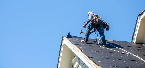 Best Roof Repair Services  in Virginia, IL